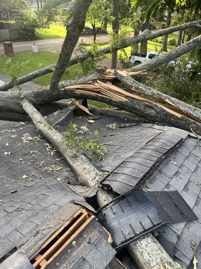 Tree damage to roof. A tree fell on the roof after the recent storms in Memphis, TN and caused major damage to this home.