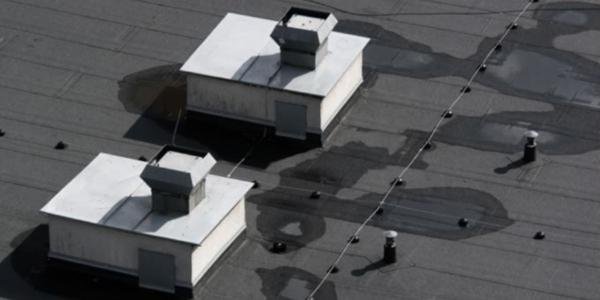 Commercial roof drain