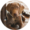 Jason Hierholzer profile picture